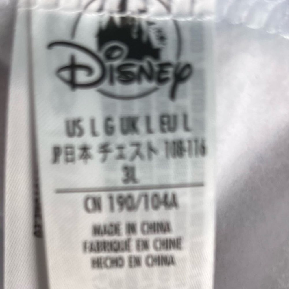 WALT DISNEY WORLD Resort 2021 Zip Hoodie - Picture 8 of 15